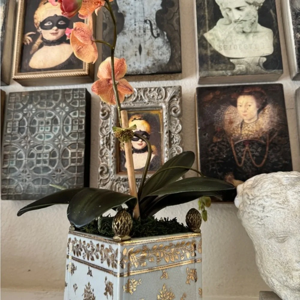 Diane James Home Faux Orchid Arrangement‎